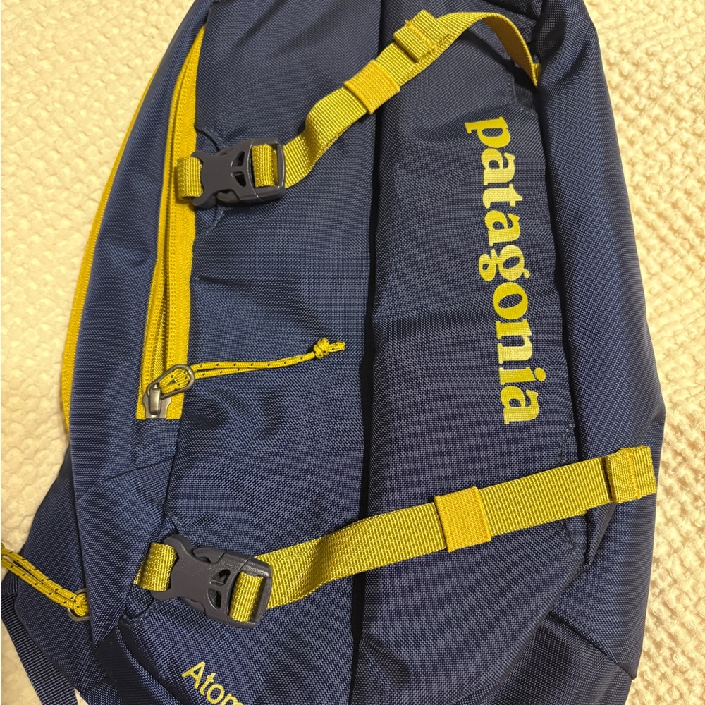 Patagonia sling bag